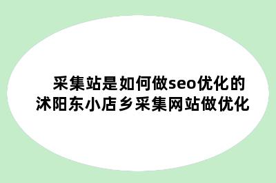 采集站是如何做seo优化的 沭阳东小店乡采集网站做优化